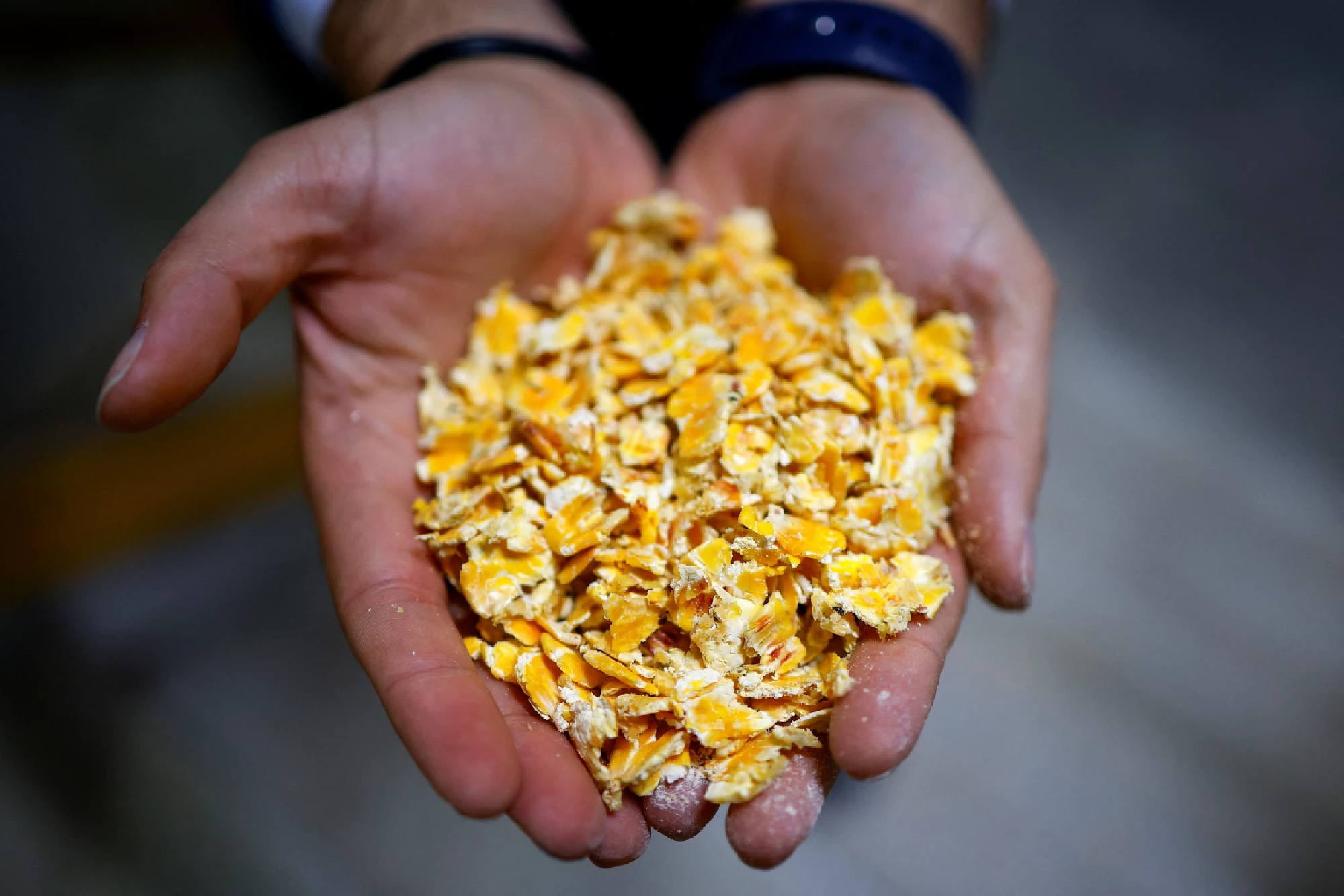 Conflict in Ukraine disrupts global food supply chain: Ukrainian official