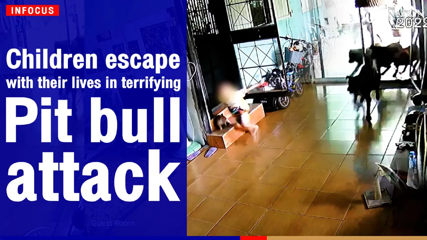 Children escape with their lives in terrifying pit bull attack