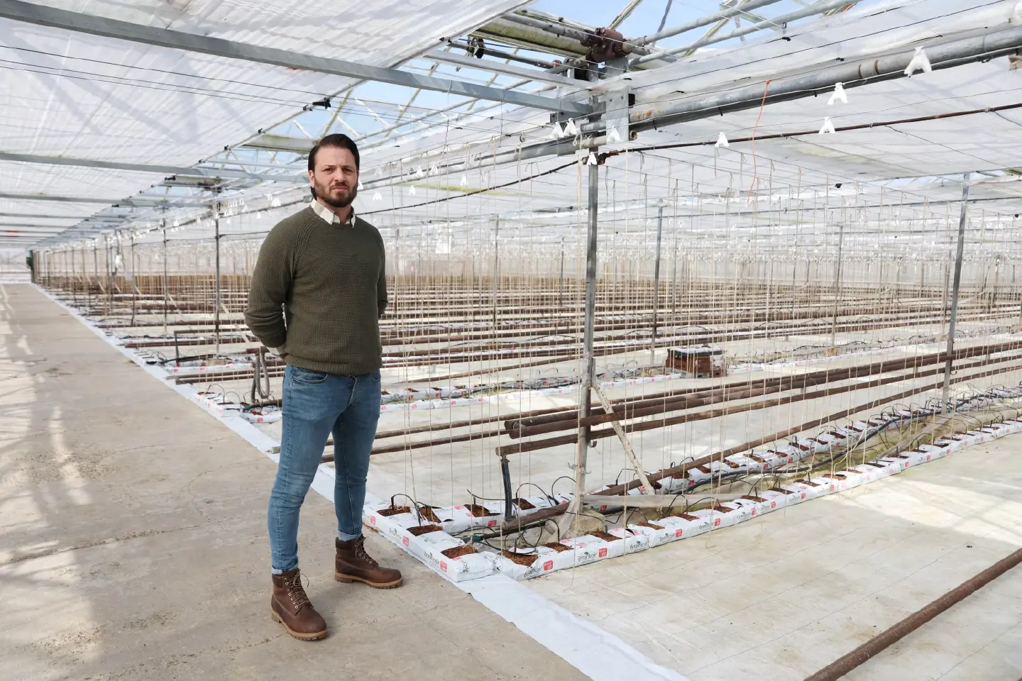 Cucumber crisis: surging energy prices leave British greenhouses empty