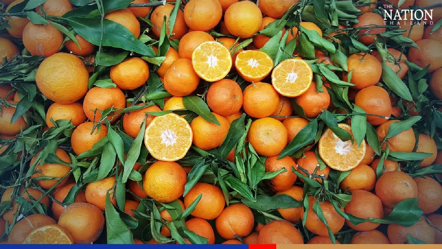 Almost all tangerines, oranges in Thai supermarkets unsafe, survey shows