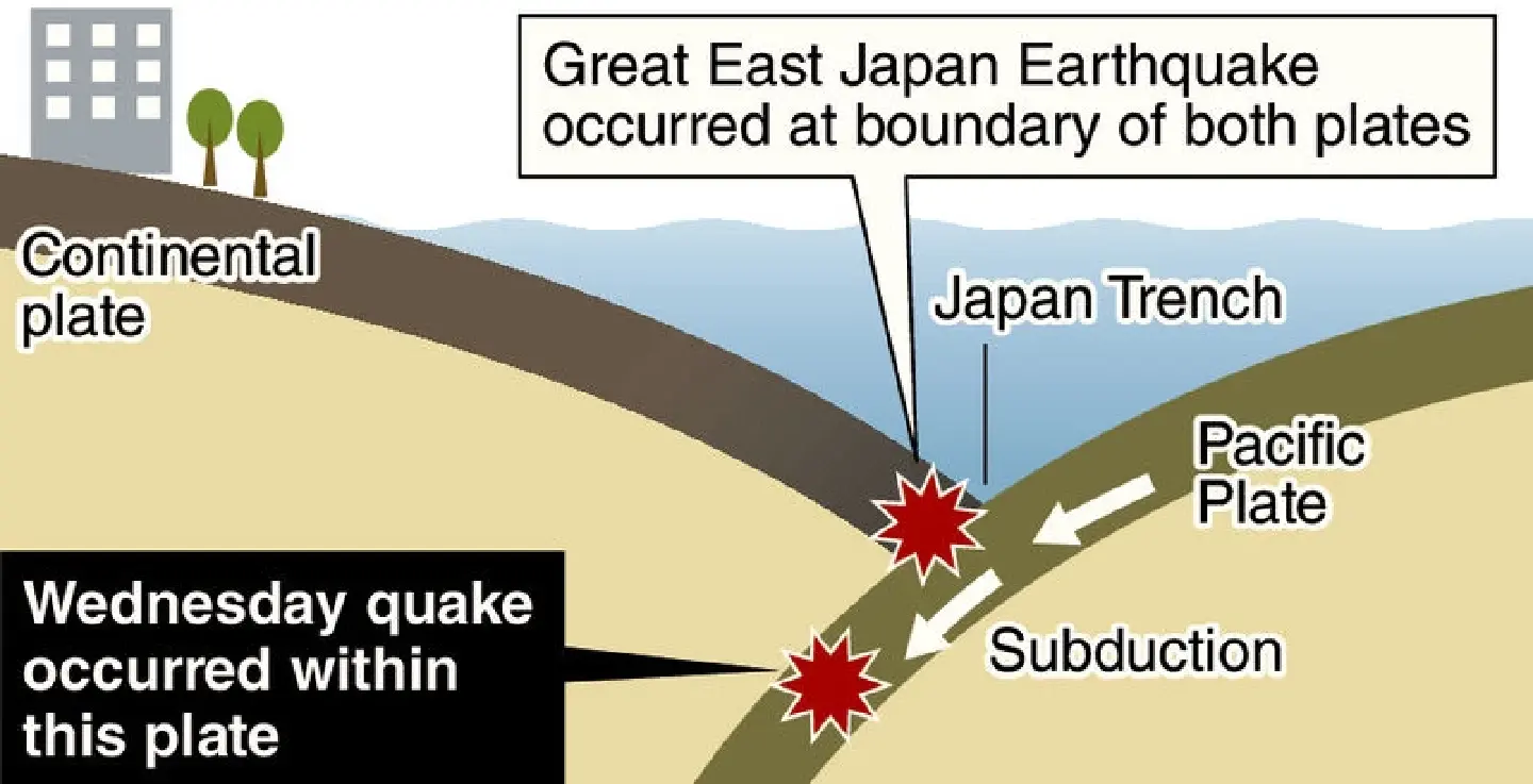 Widely felt quake occurred within Pacific Plate