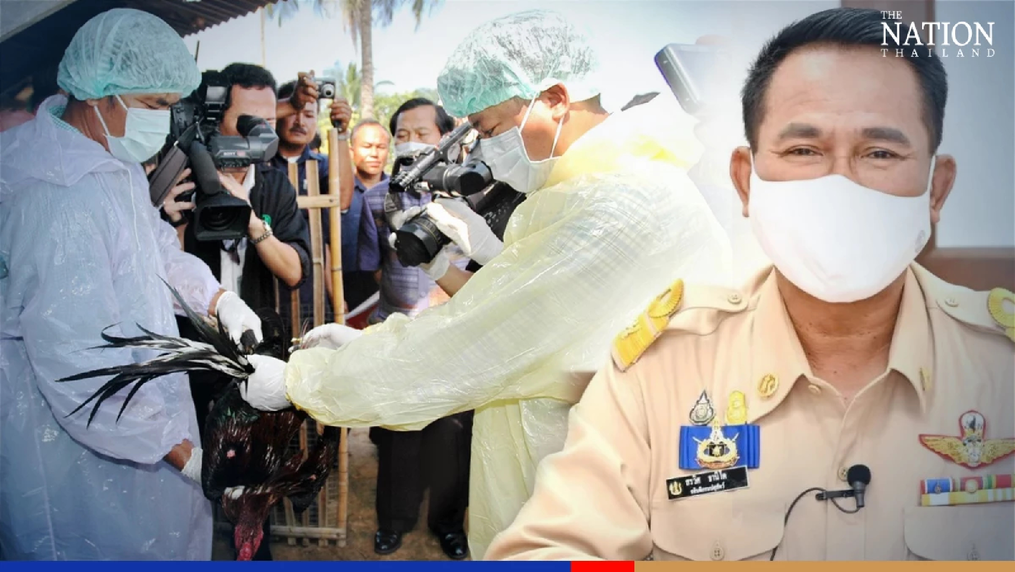 Thai poultry farmers urged to brace for new, more severe bird-flu strains