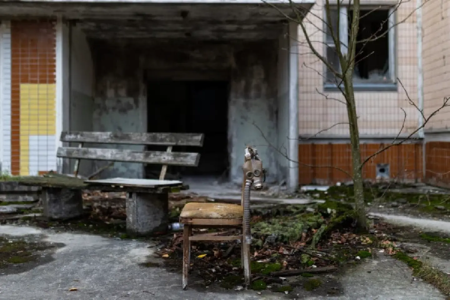 Forest fires near Chernobyl plant cover over 10,000 hectares: Ukrainian ombudswoman Forest fires near Chernobyl plant cover over 10,000 hectares: Ukrainian ombudswoman