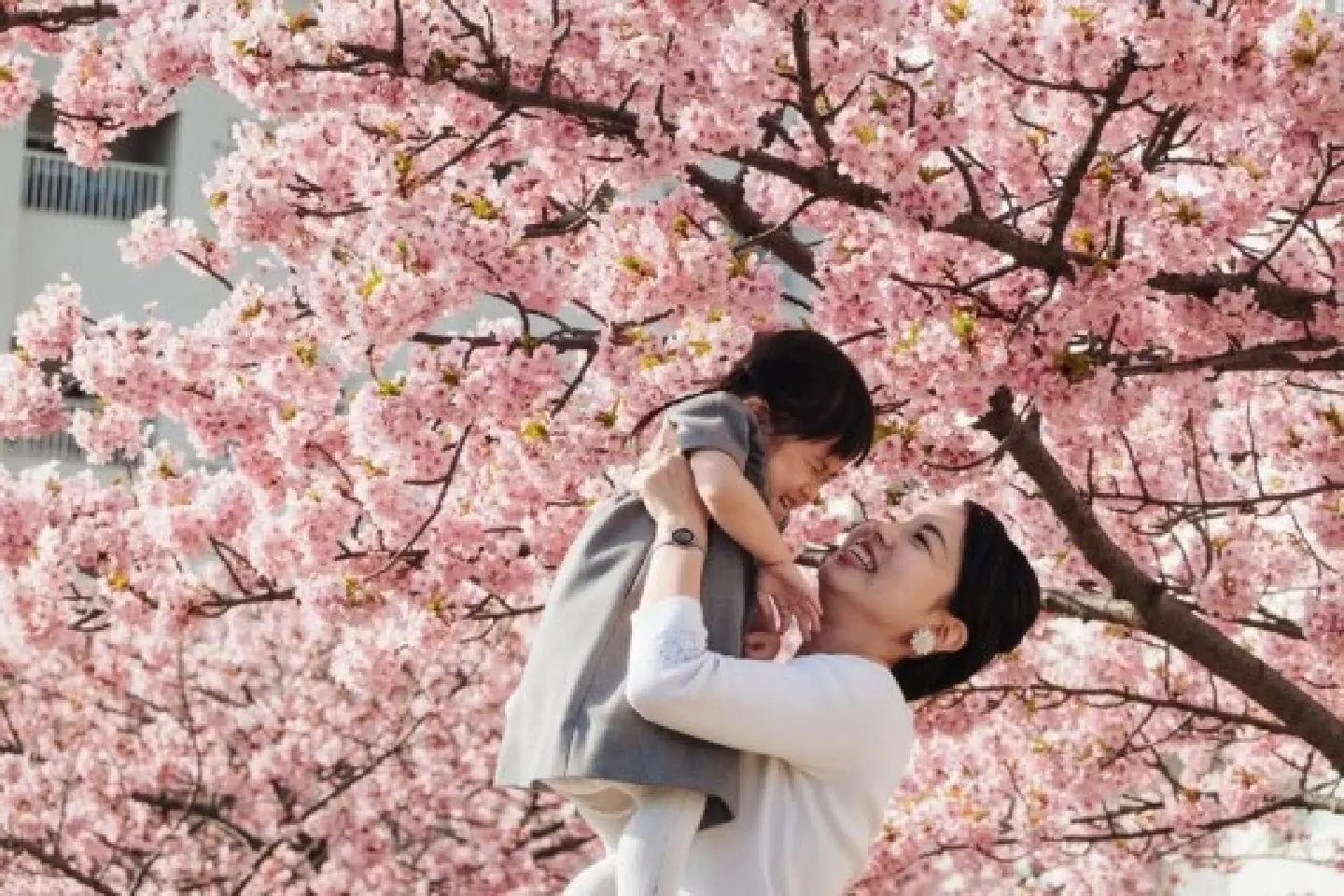 Color of spring is pink in Tokyo as cherry blossom season comes