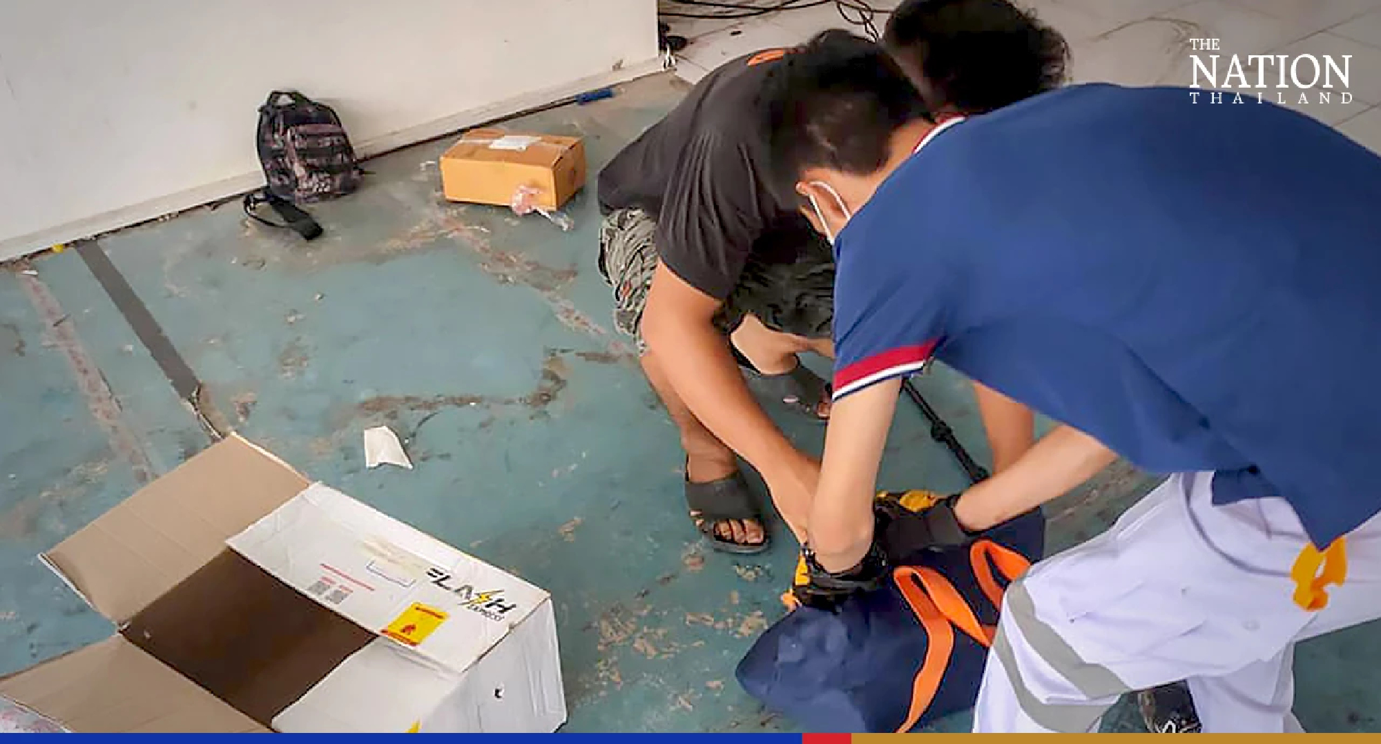 Shocking! There’s a king cobra in my parcel