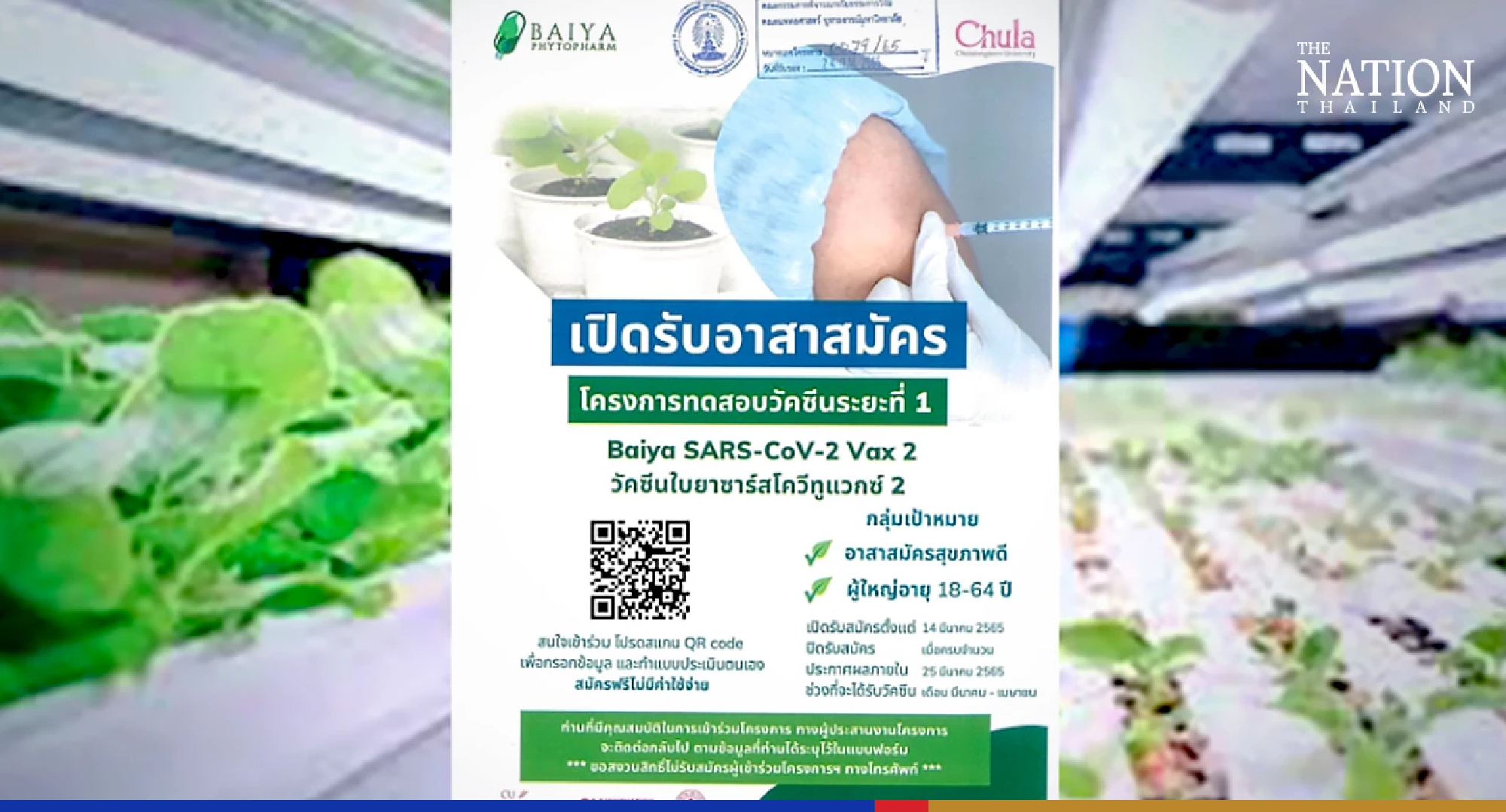 Baiya Phytopharm’s Covid-19 vaccine ready for human trials