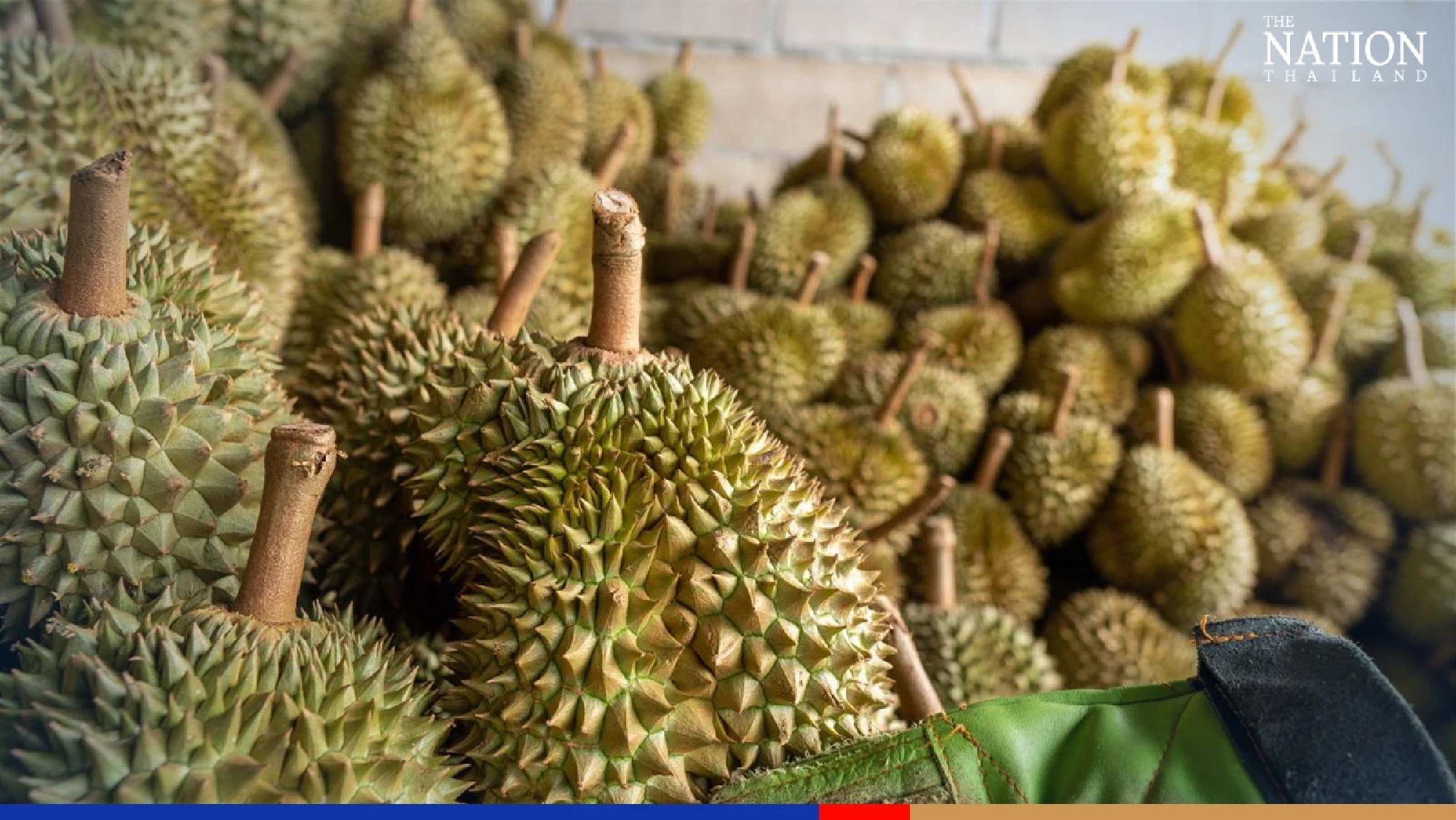 Thailand seeks China’s green light for use of high-speed train to deliver durian
