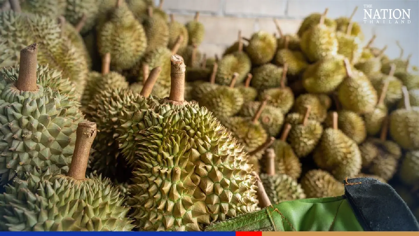 Thailand seeks China’s green light for use of high-speed train to deliver durian Thailand seeks China’s green light for use of high-speed train to deliver durian