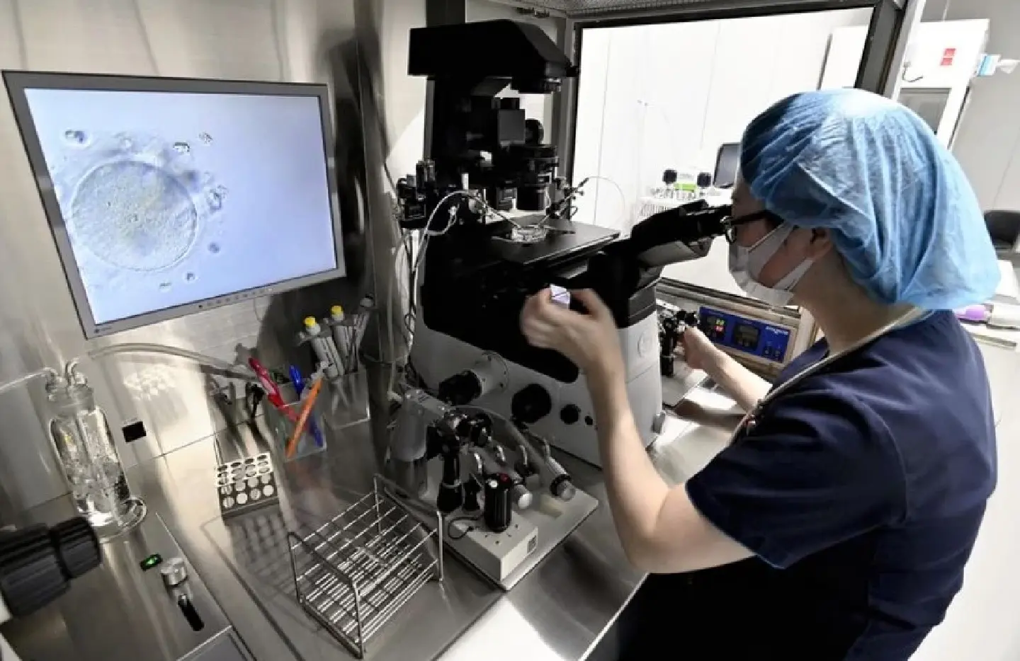 Japan to license sperm, egg agencies Japan to license sperm, egg agencies