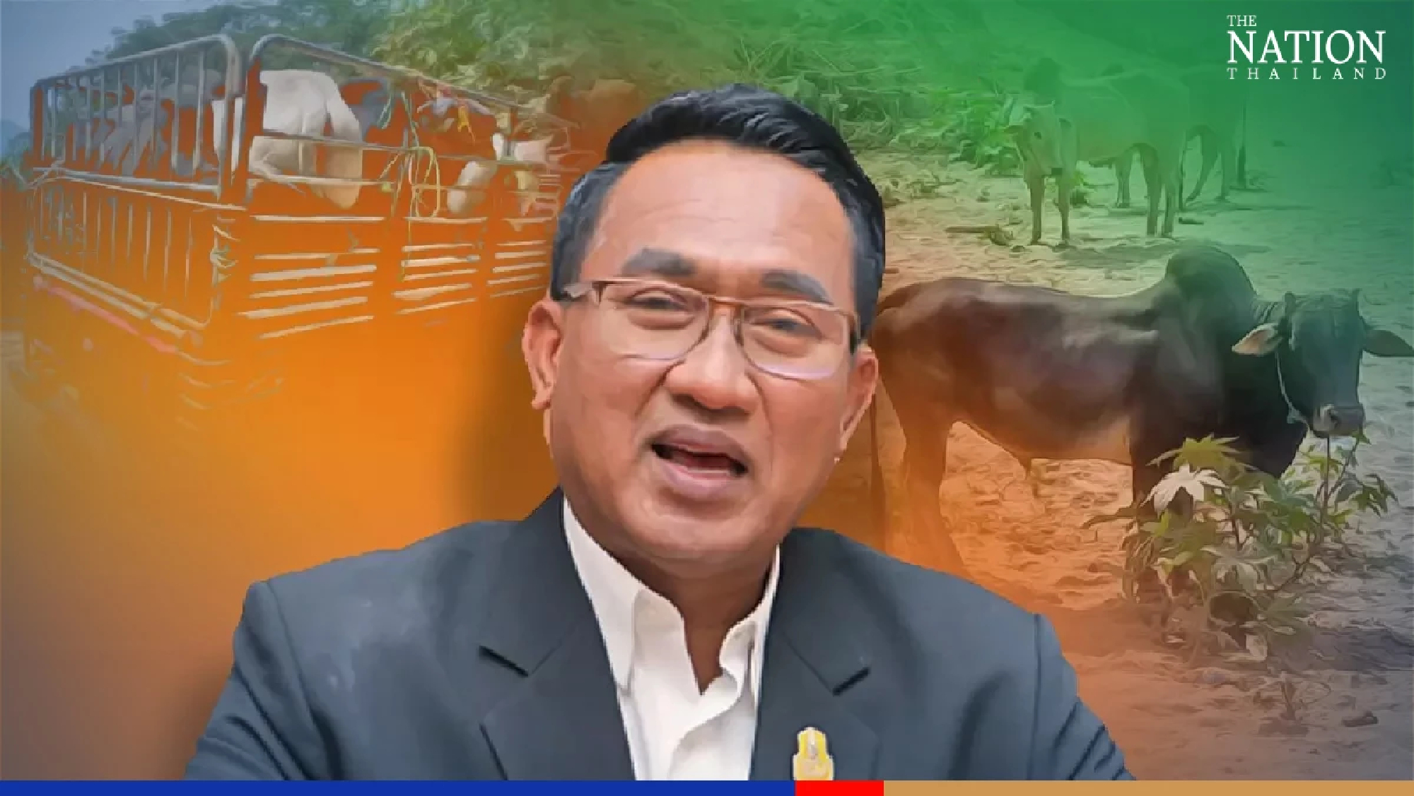 Cowboys foiled: Myanmar smugglers flee leaving cattle on Thai riverbank