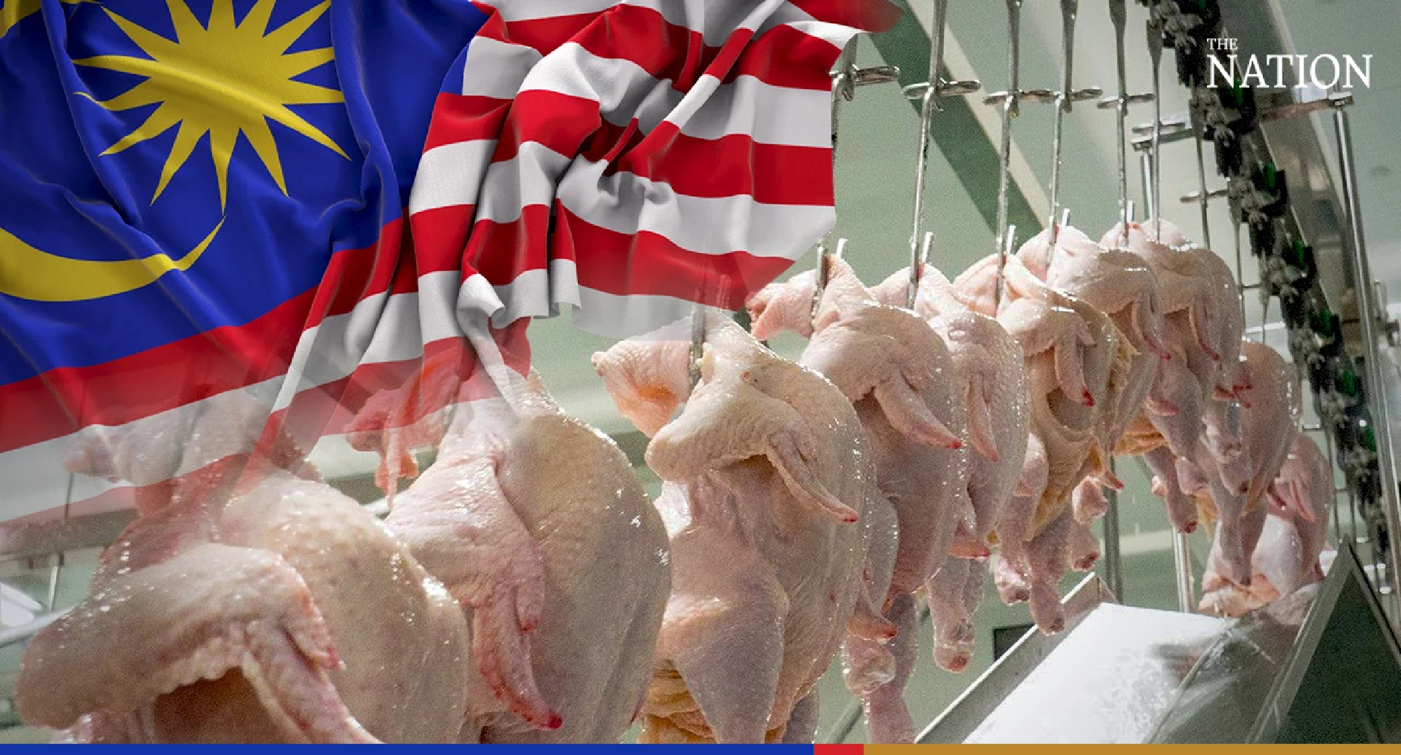 Malaysian team to inspect poultry sites amid greater prospects for Thai exports