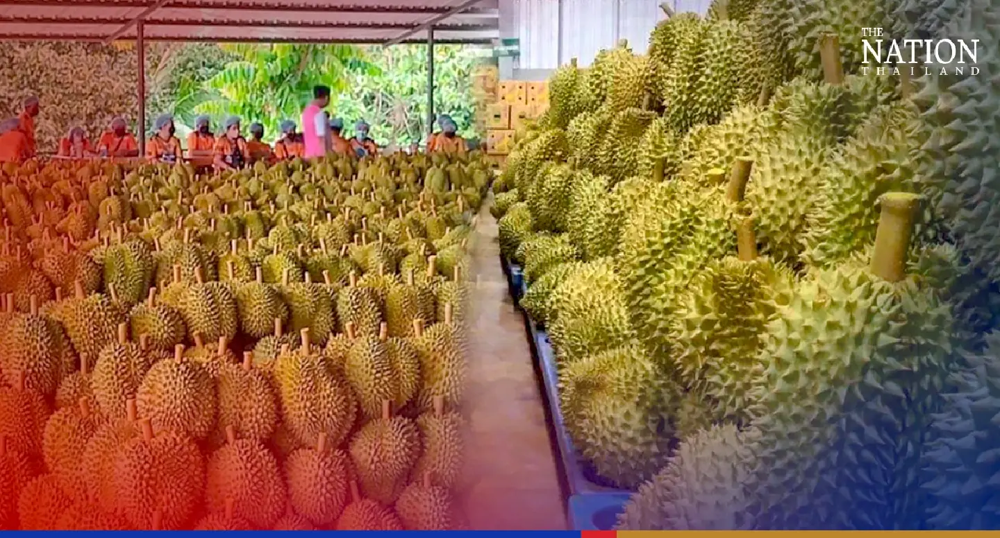 Chanthaburi durian warehouses set for clean-up after Covid found in container