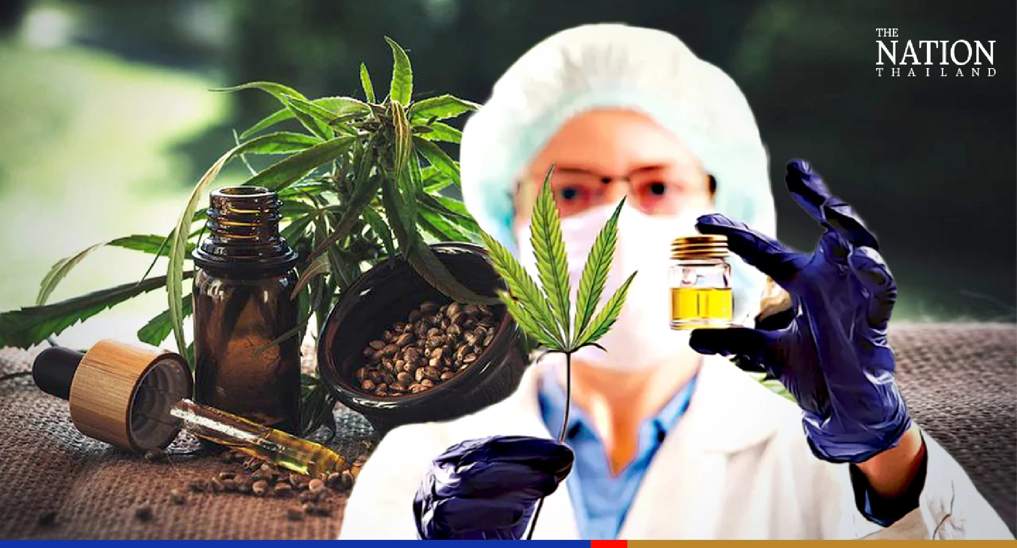 Relax law on cannabis seeds for better product, Thai advocate says