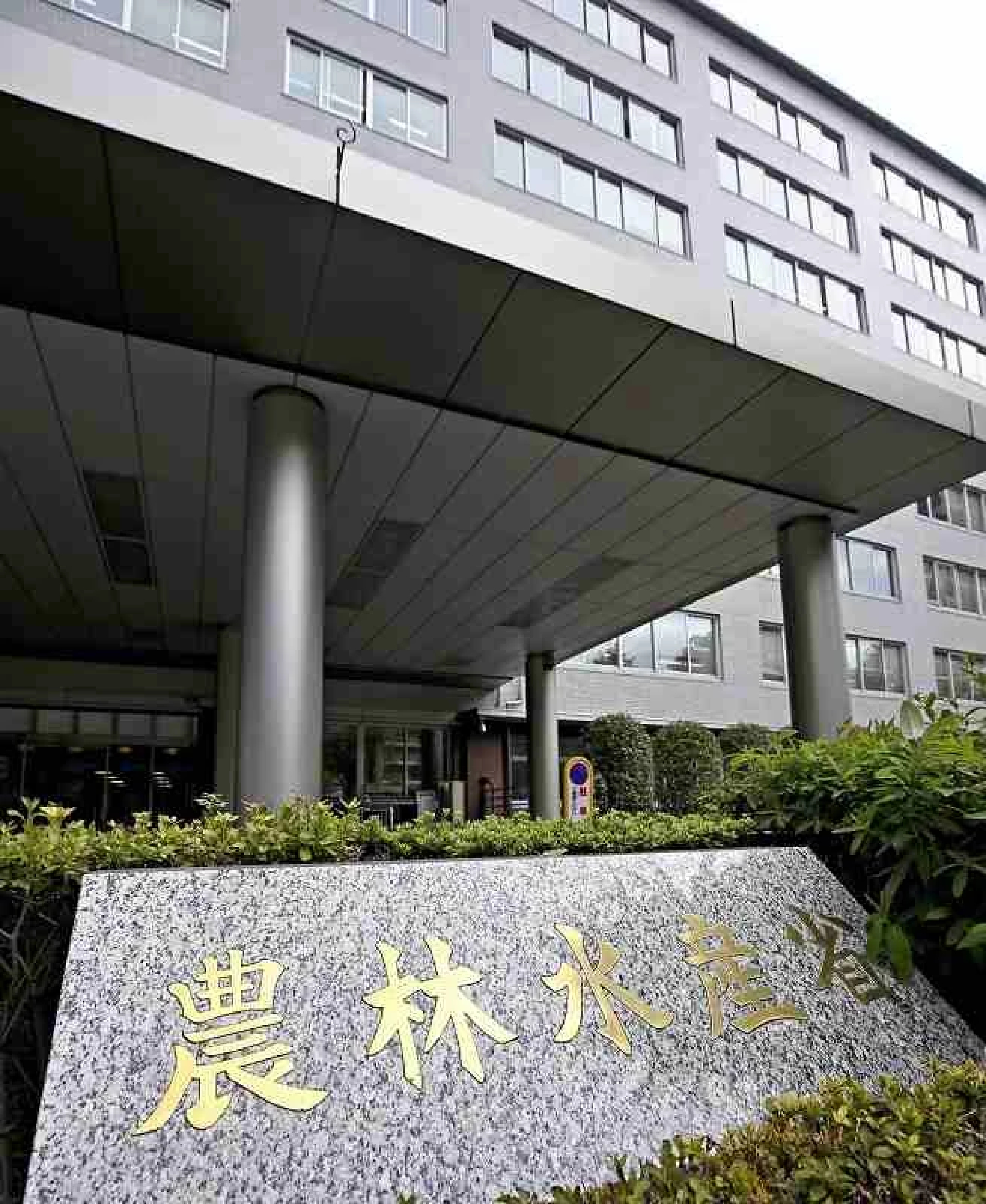 Japan eases rules for displaced Ukrainians’ pets