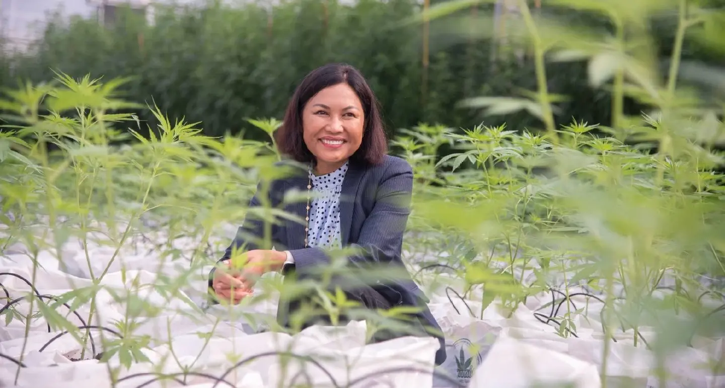 Development of Thai hemp industry can be expedited and thriving