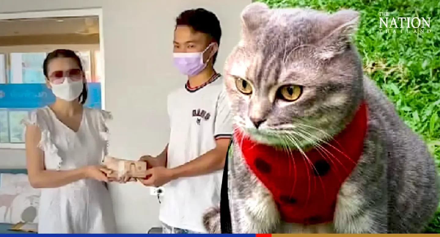 Security guard wins a fortune for finding missing kitty