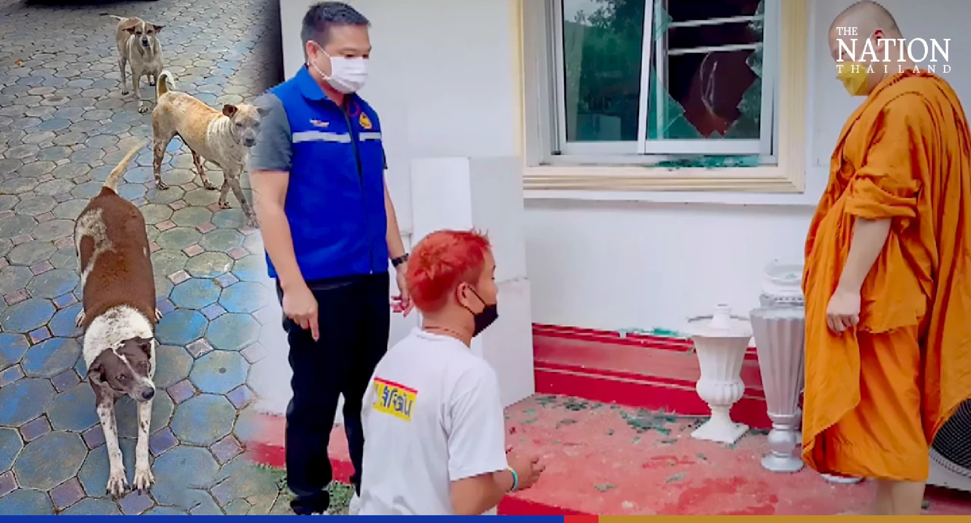 Dogs prevent theft from temple donation box in Chiang Mai