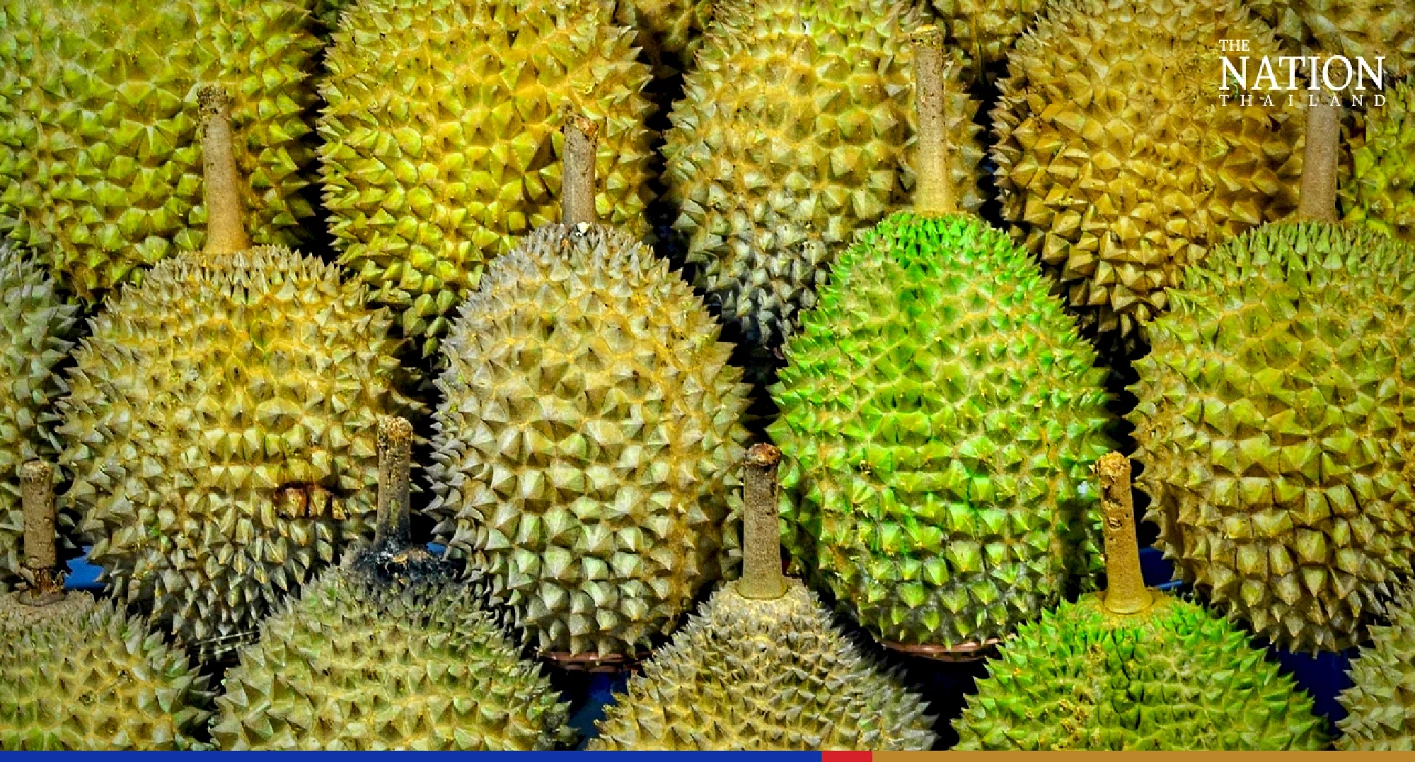 China’s Covid restrictions a bitter experience for Thai durian exporters