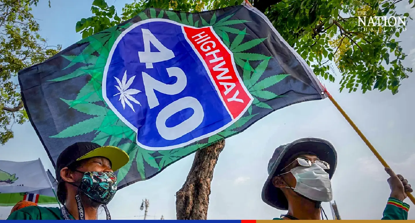 Cannabis lovers celebrate World Cannabis Day