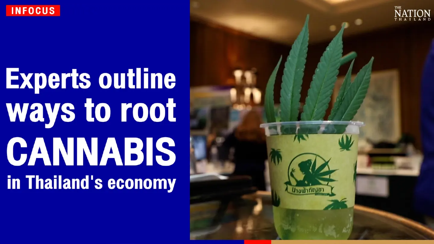 Experts outline ways to root "cannabis" in Thailand's economy