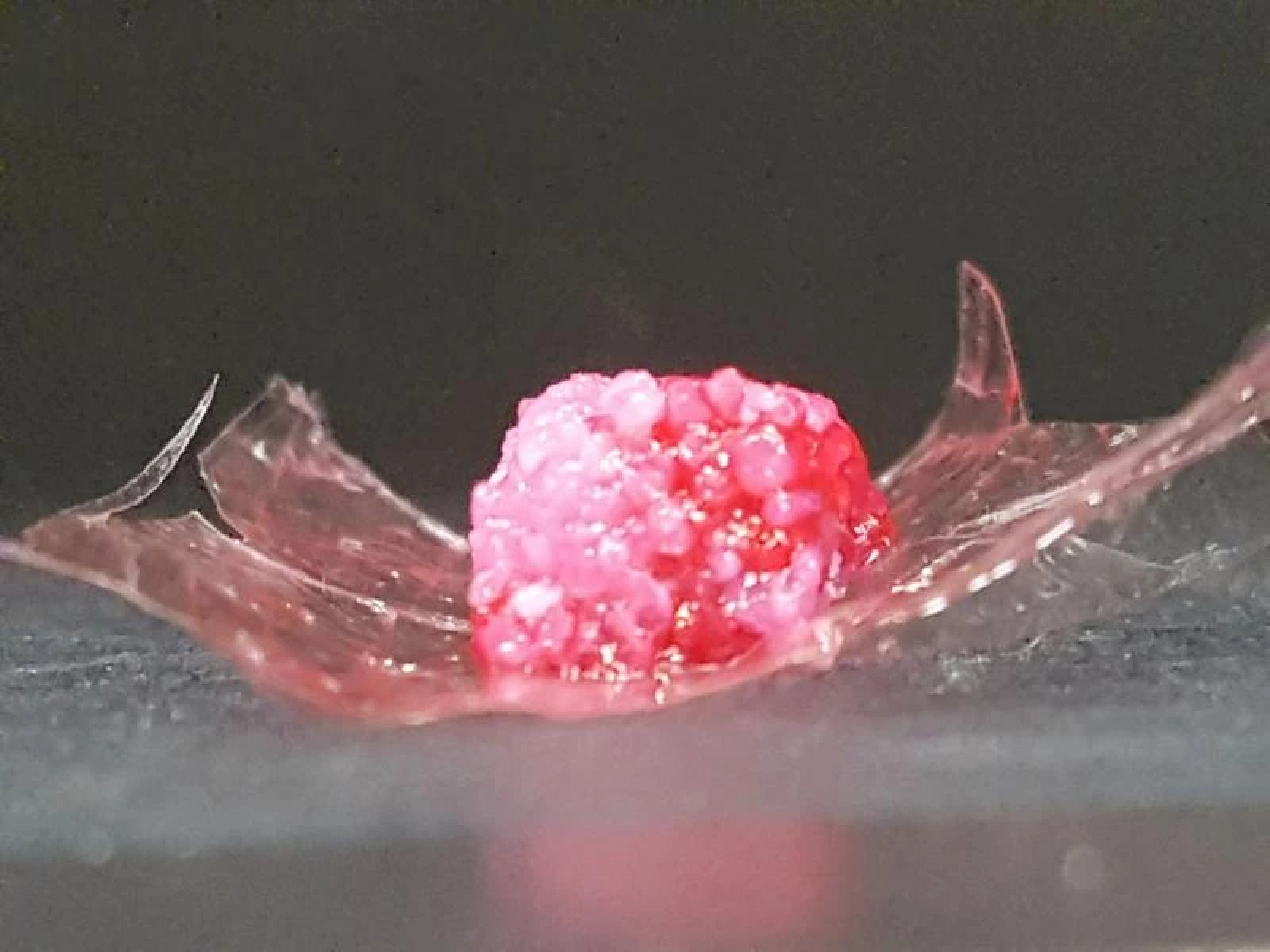 Japan’s Shimadzu working to develop 3D-printed meat