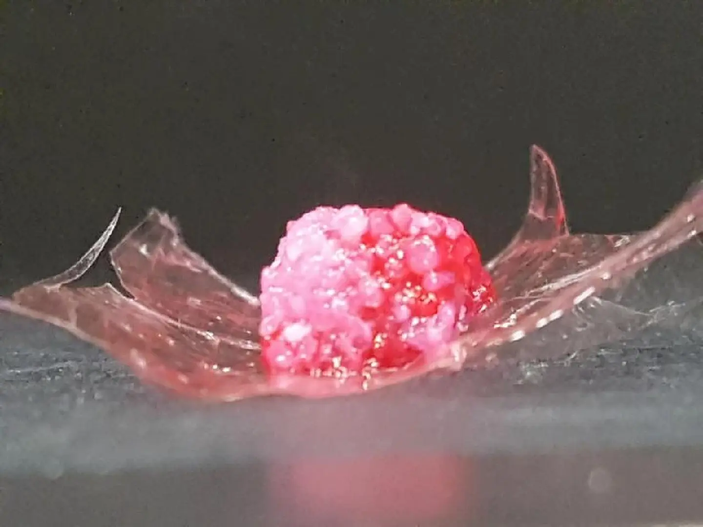 Japan’s Shimadzu working to develop 3D-printed meat