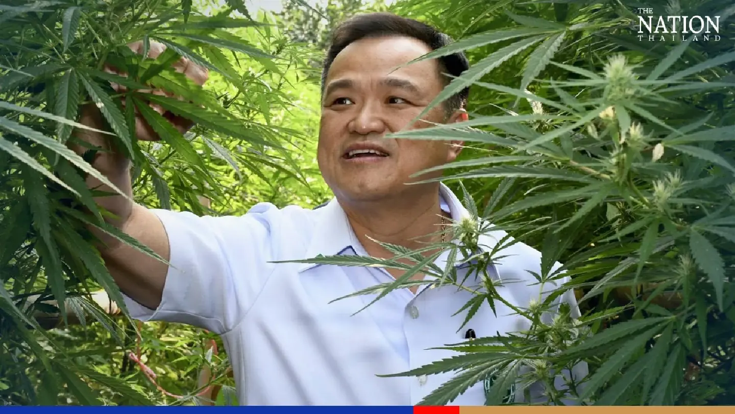 No limit to household marijuana plants from June 9, promises Anutin