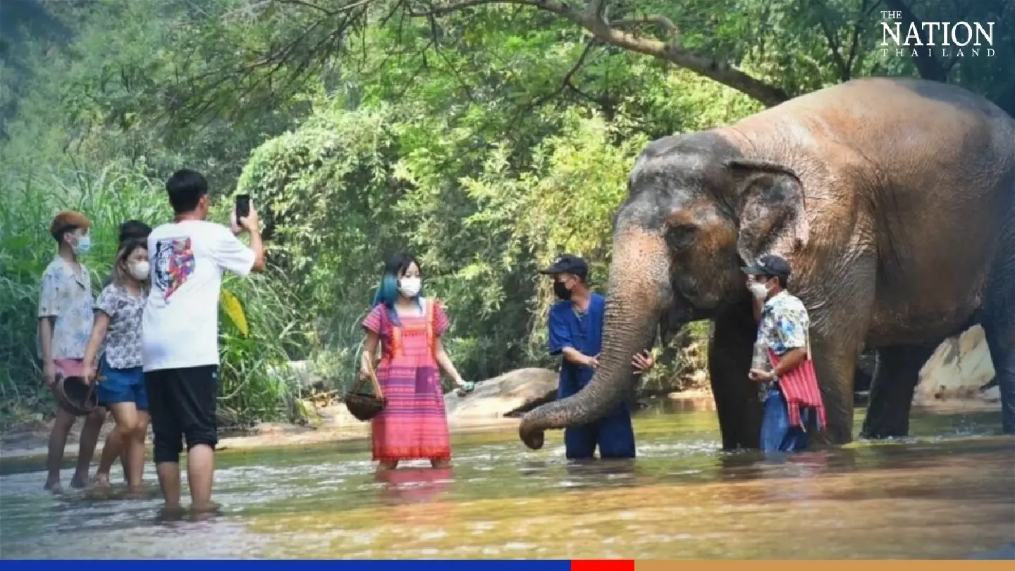 Chiang Mai elephant camp flooded with visitors during Songkran