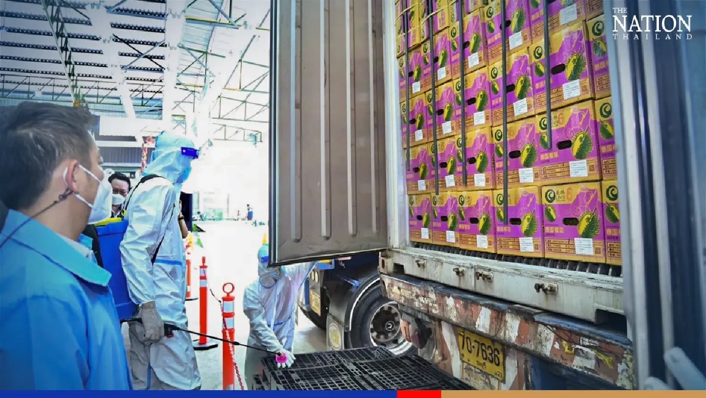 ‘Zero Covid’ ordered for Thai durian exports after China scare ‘Zero Covid’ ordered for Thai durian exports after China scare