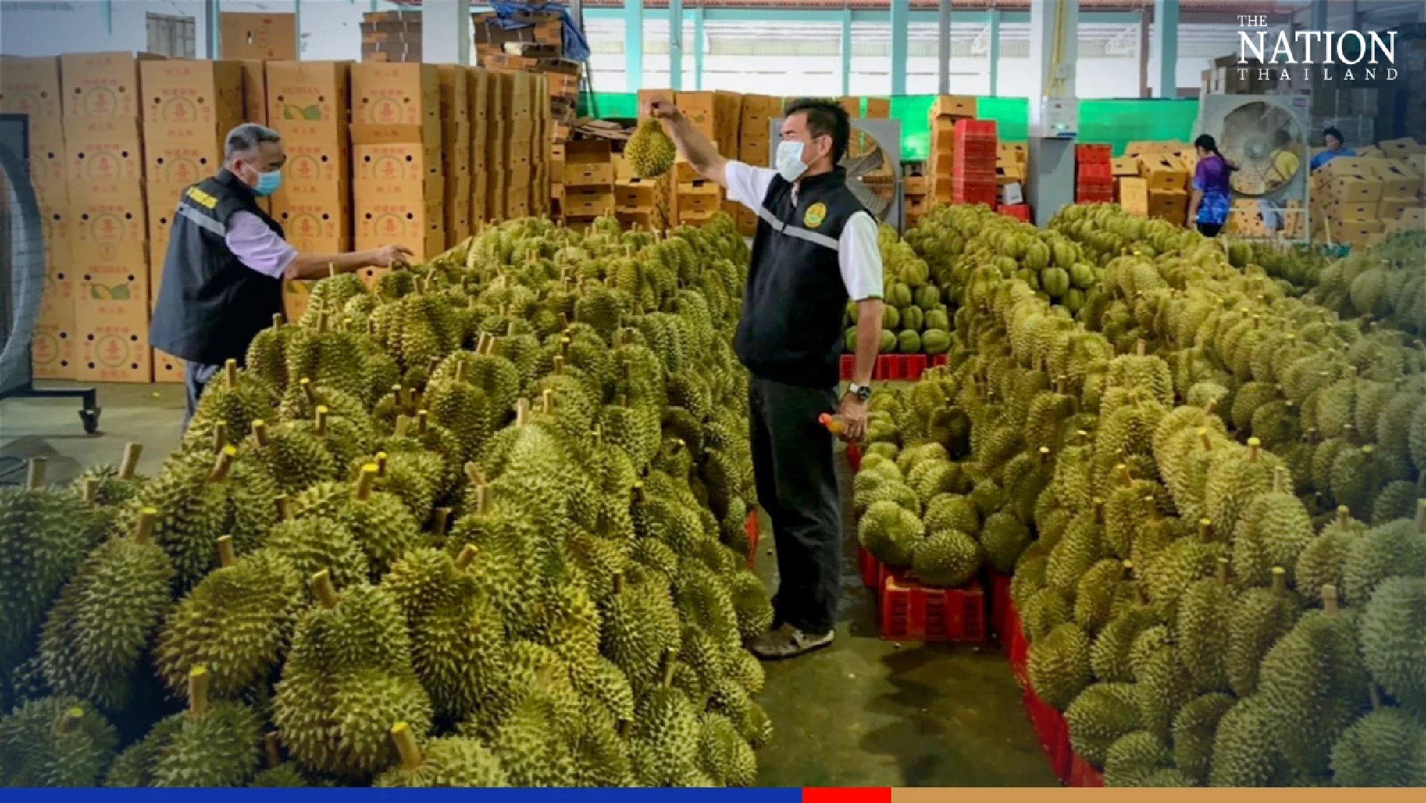 New export channels easing Thailand’s fruit glut crisis: TCC