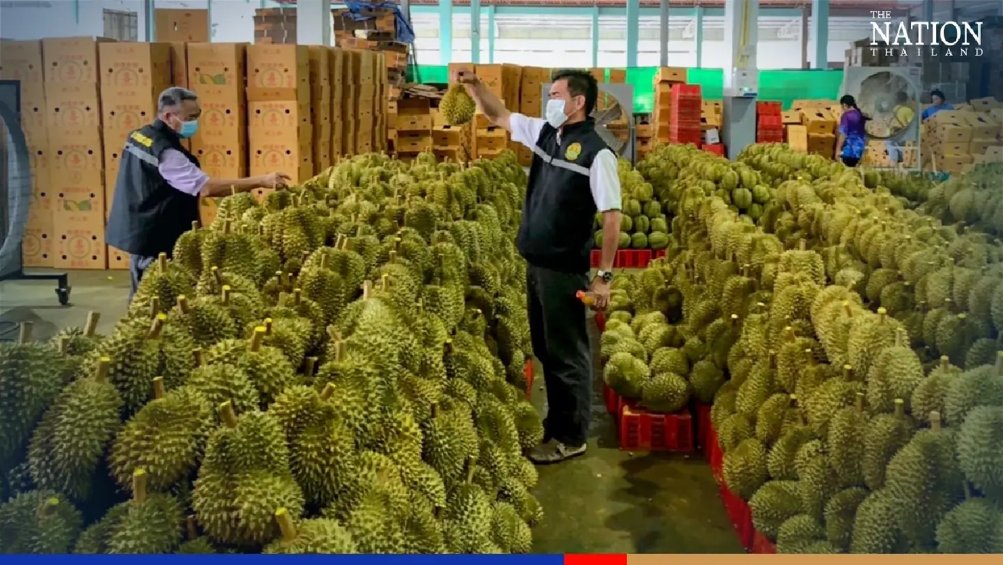 New export channels easing Thailand’s fruit glut crisis: TCC New export channels easing Thailand’s fruit glut crisis: TCC