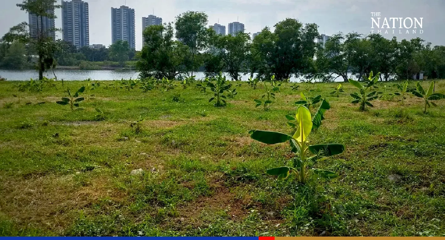 Property developer’s Facebook post highlighting ‘green image’ backfires Property developer’s Facebook post highlighting ‘green image’ backfires
