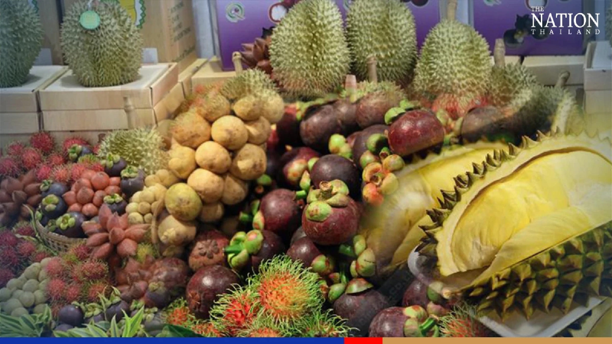 Ministry to help distribute 566,000 tonnes of fruits amid jump in output