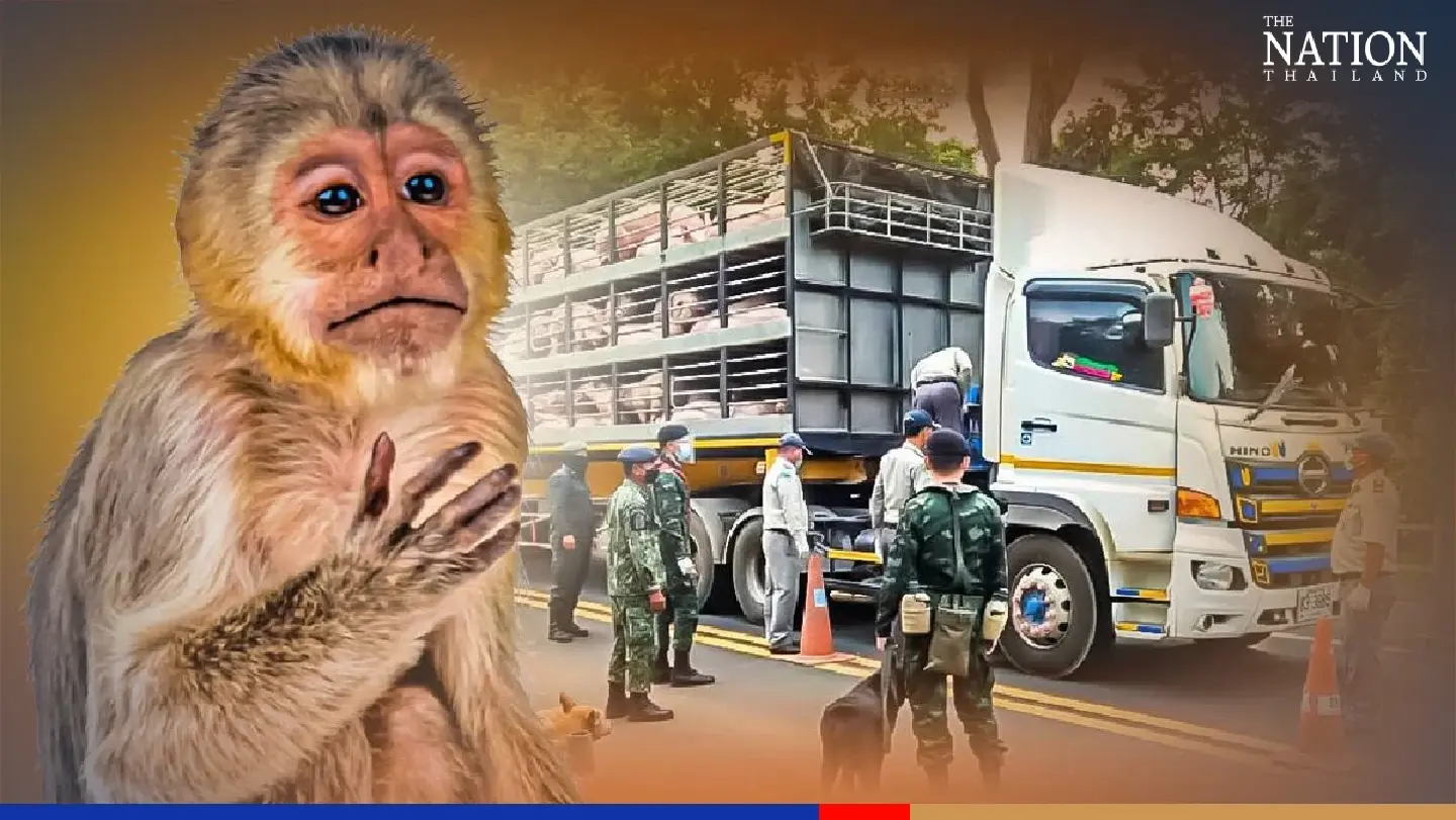 Wildlife screening at Suvarnabhumi tightened as monkeypox spreads Wildlife screening at Suvarnabhumi tightened as monkeypox spreads