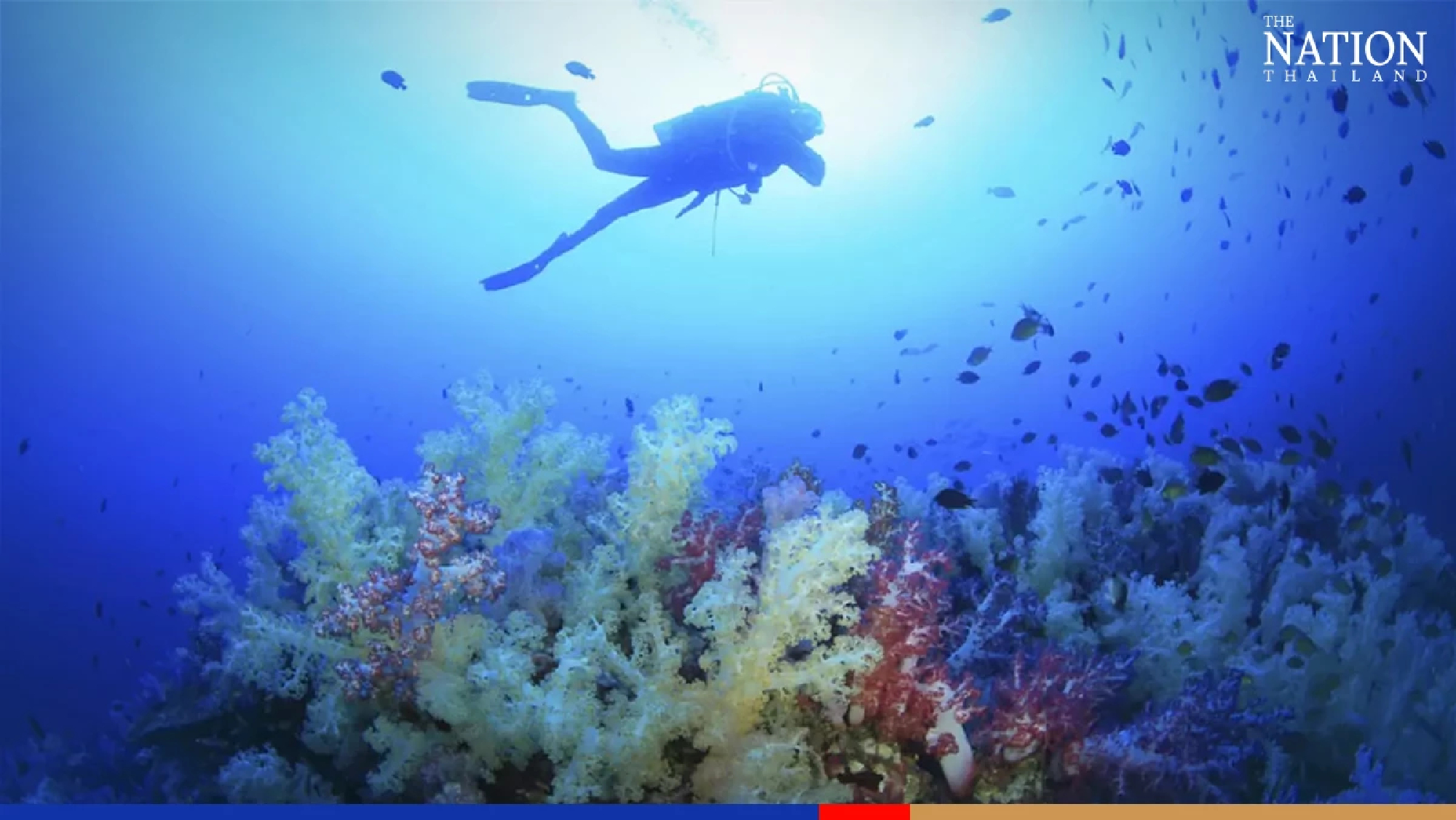 TAT expects 500,000 foreign visitors each month June to Sept, 7-10 million for whole of 2022