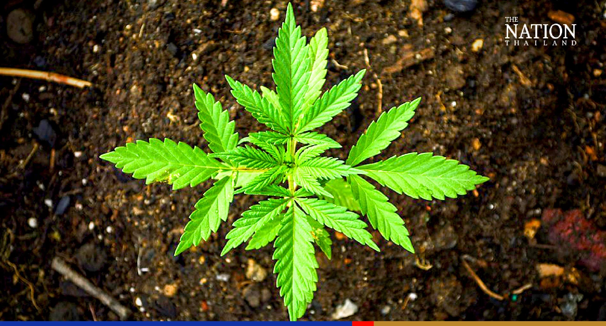 Door to freedom to fling open for ganja offenders on June 9