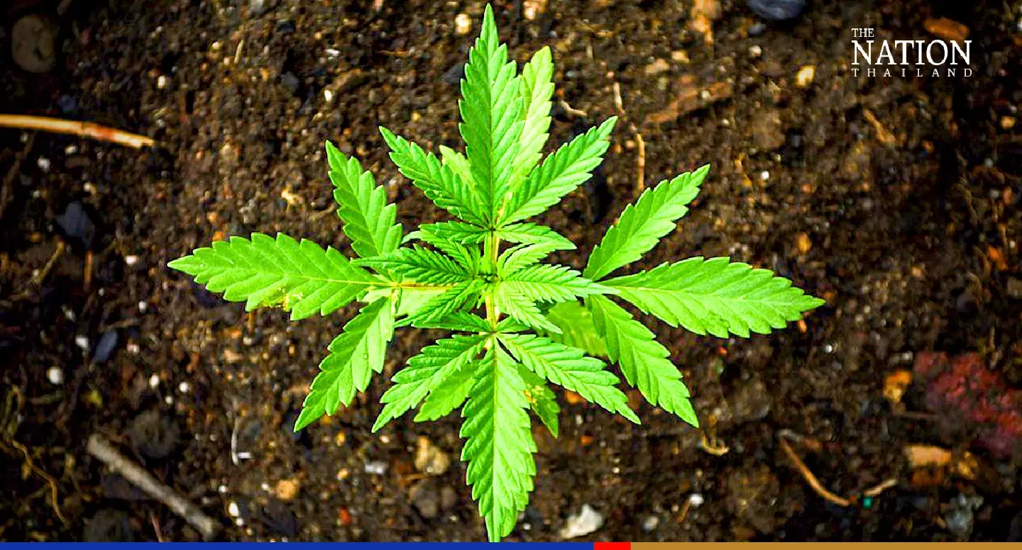 Door to freedom to fling open for ganja offenders on June 9