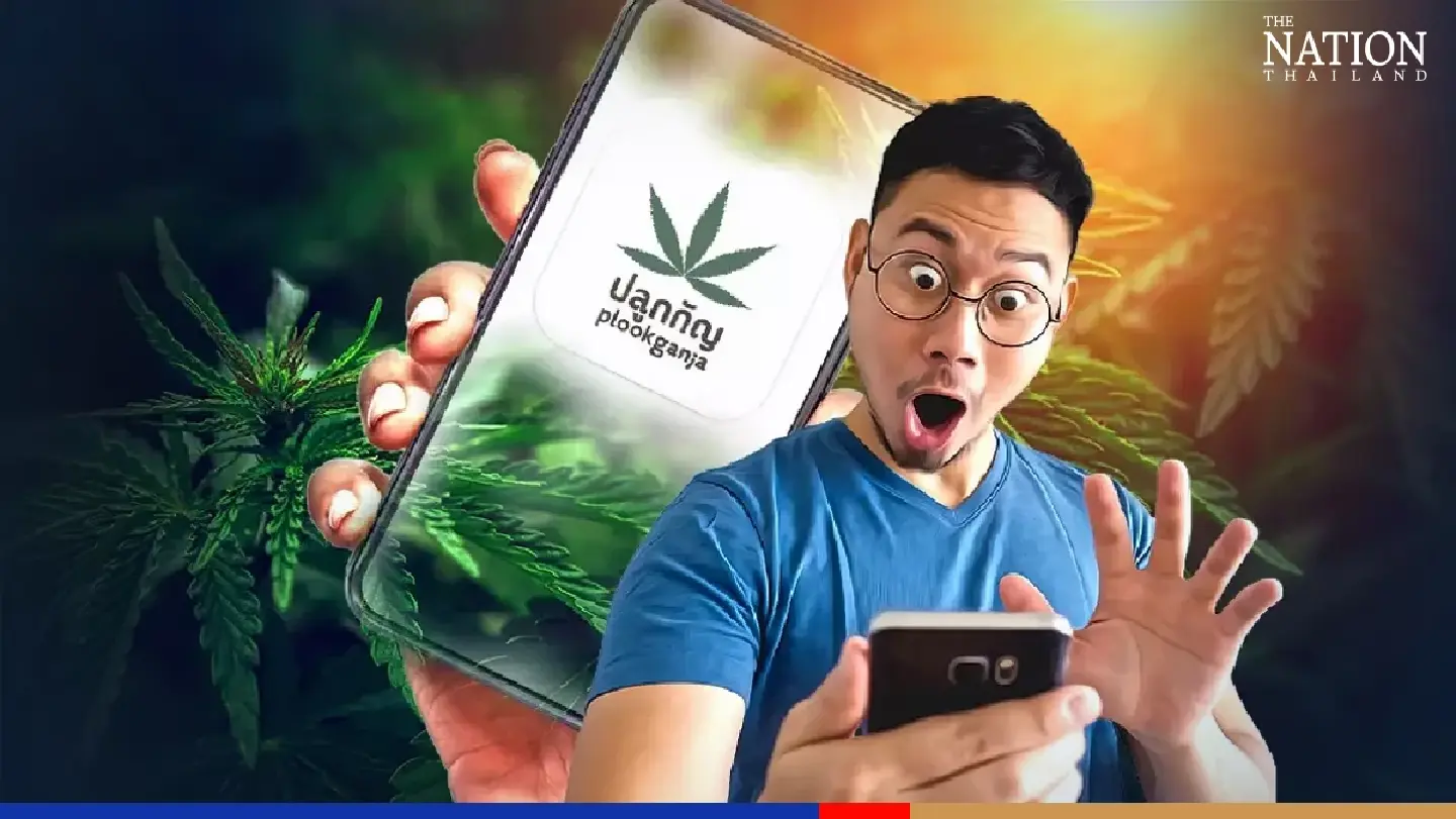 Thai FDA opens new website for ganja registration as demand soars