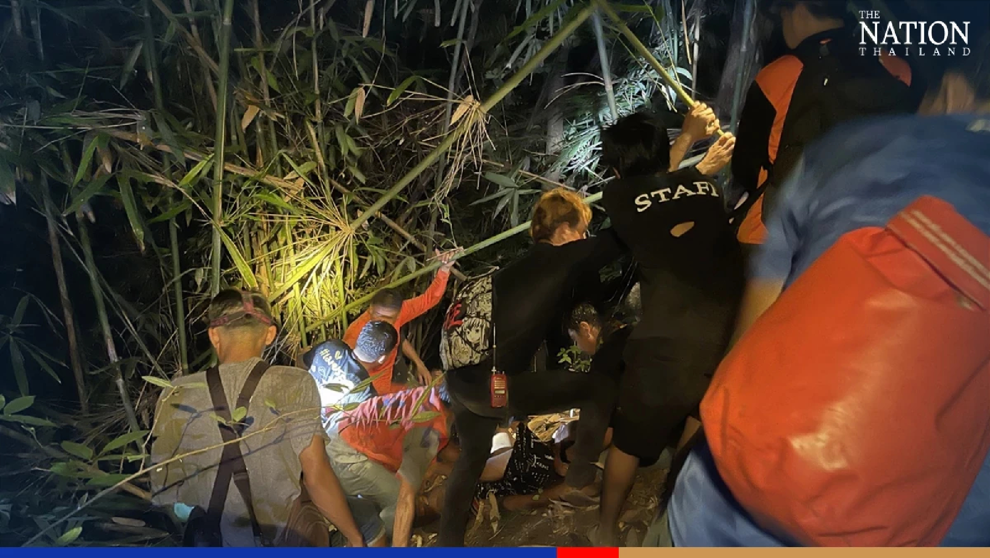 Look out! It’s a jungle out there