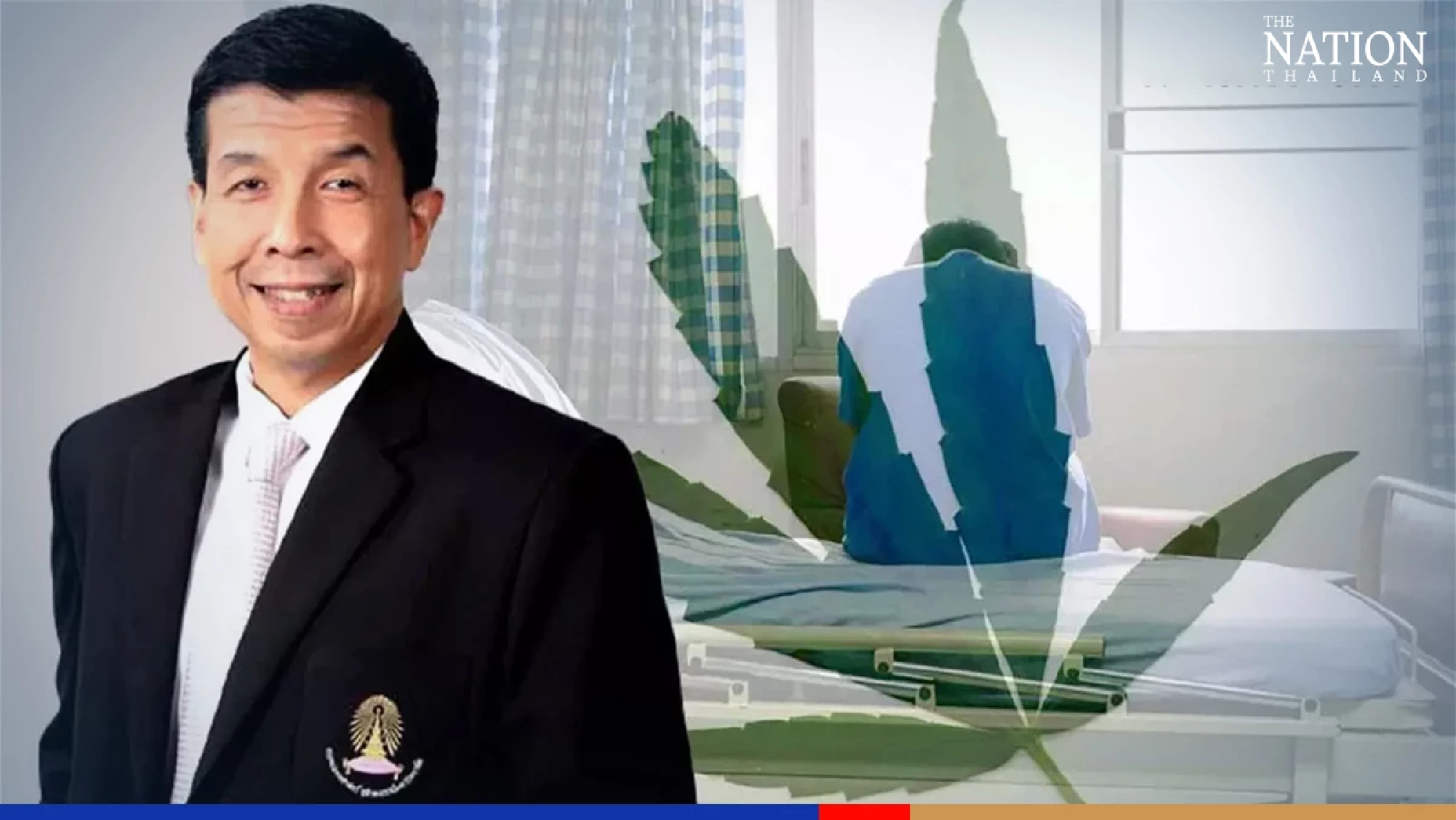 Thai experts voice concerns about widespread use, dependence on weed