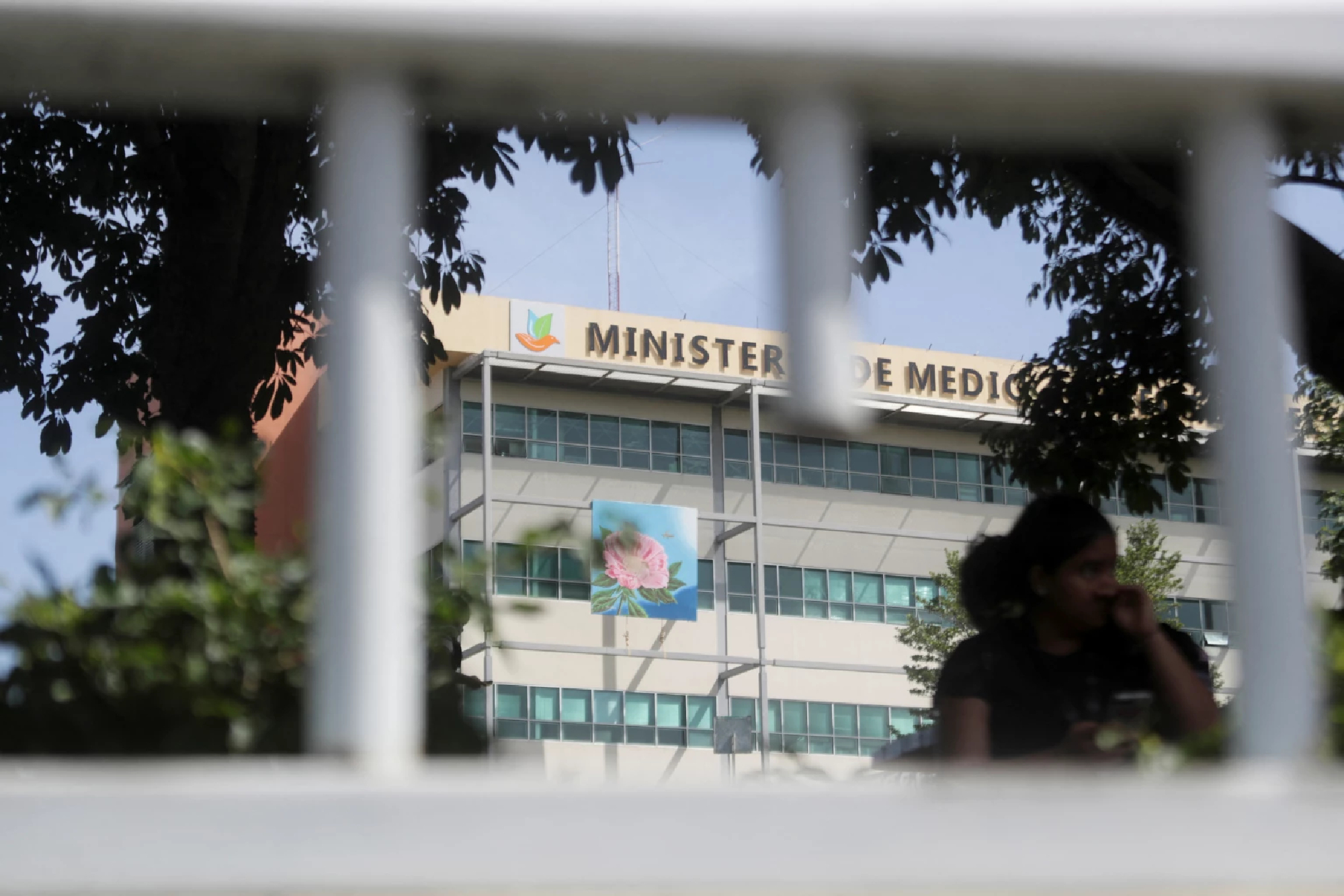 Suspect arrested after Dominican Republic's environment minister shot dead