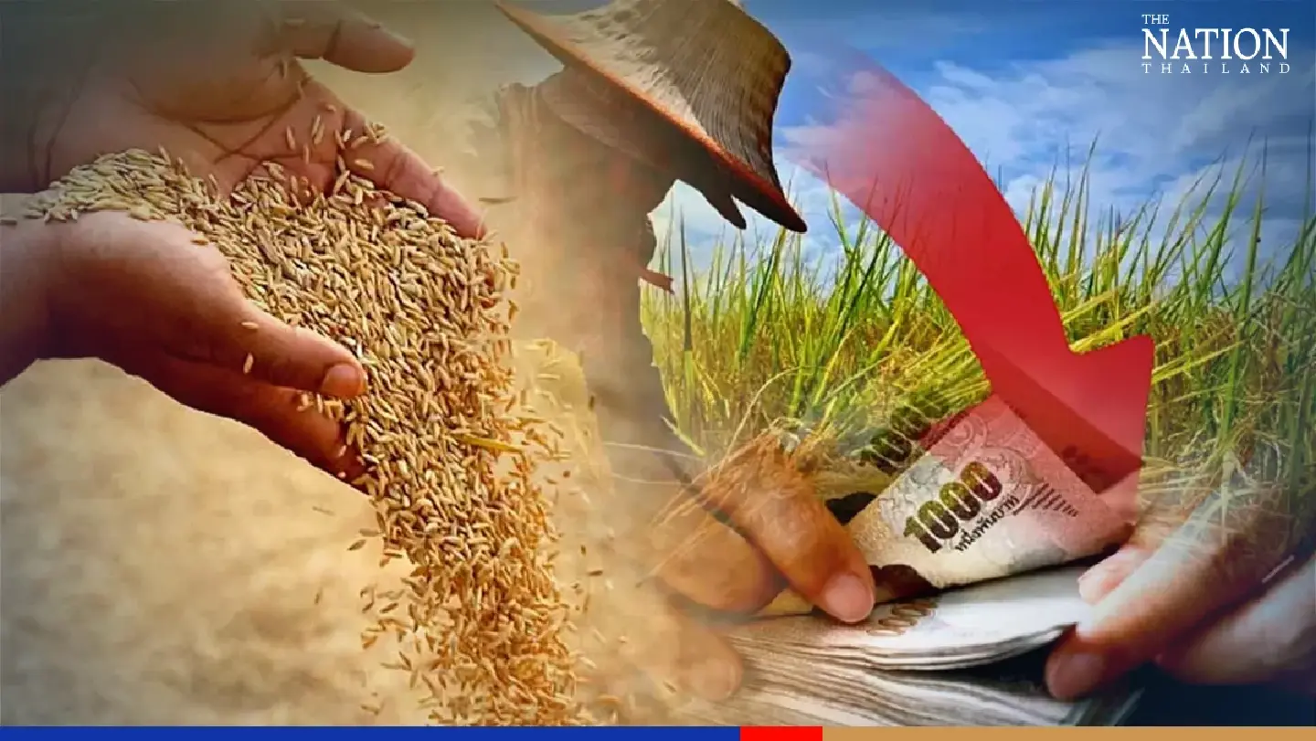 Thai rice exports lose ground, prices tumble as India, VN go in for price undercut