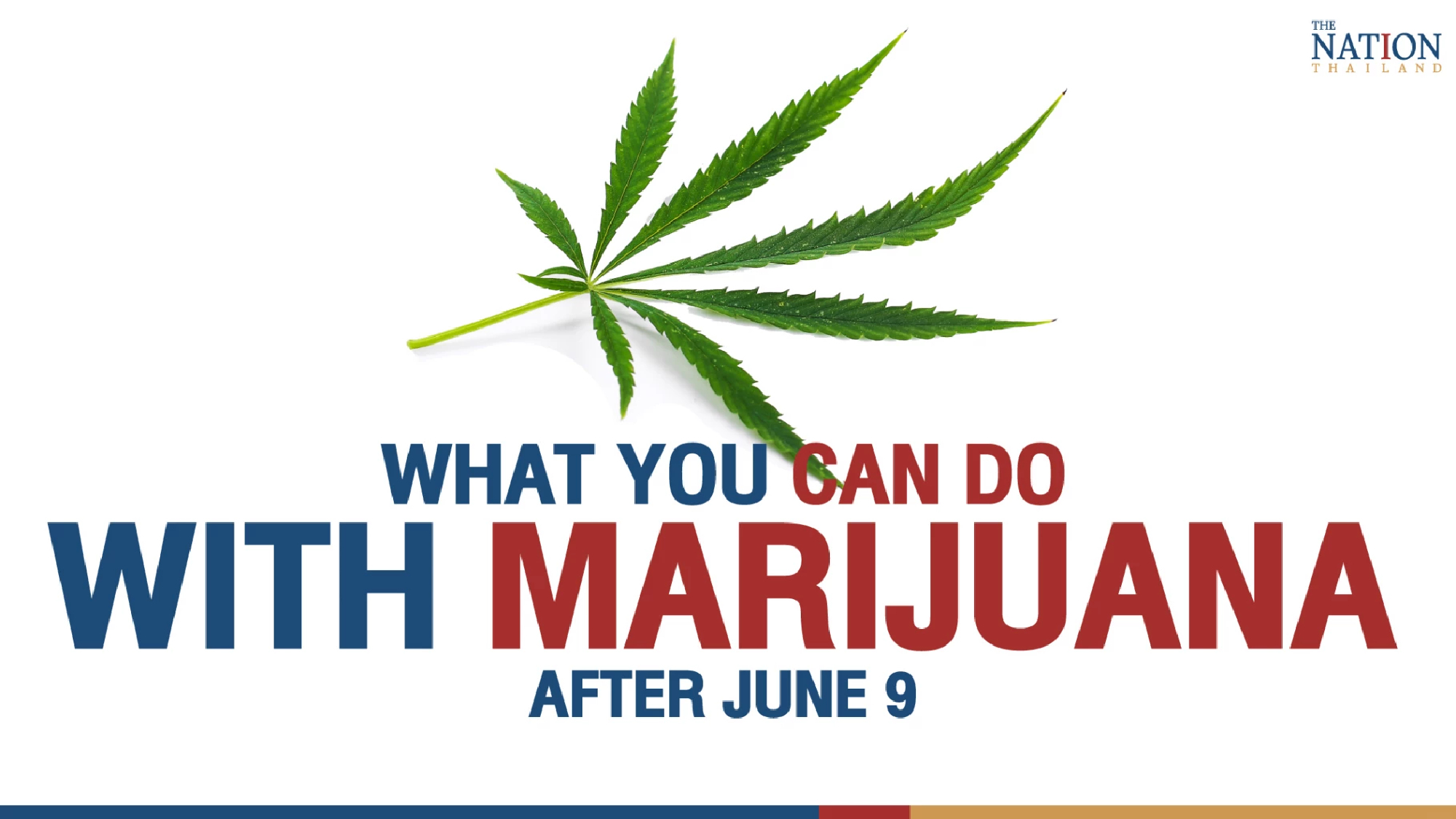 What you can and cannot do with cannabis and hemp