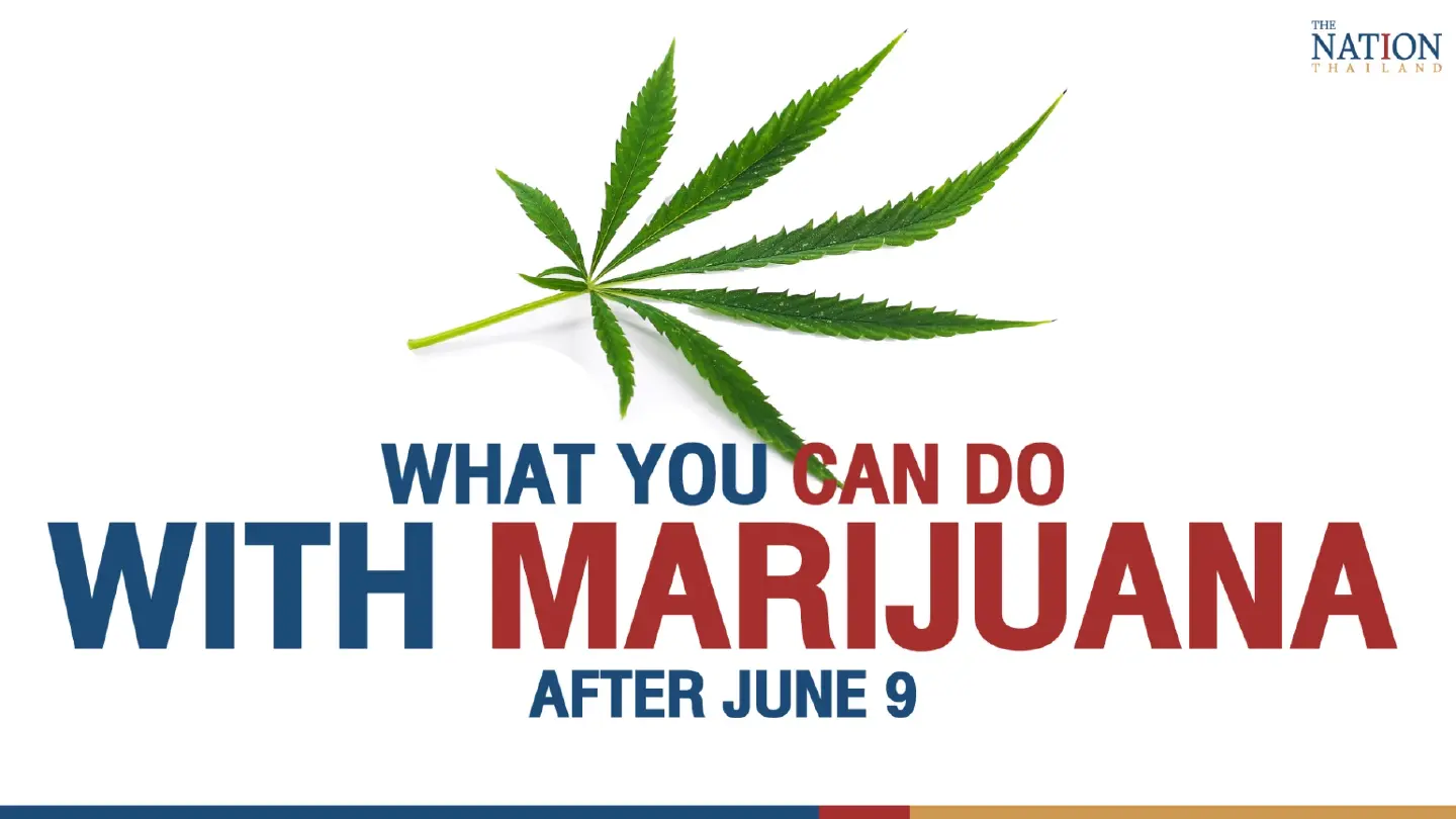What you can and cannot do with cannabis and hemp What you can and cannot do with cannabis and hemp