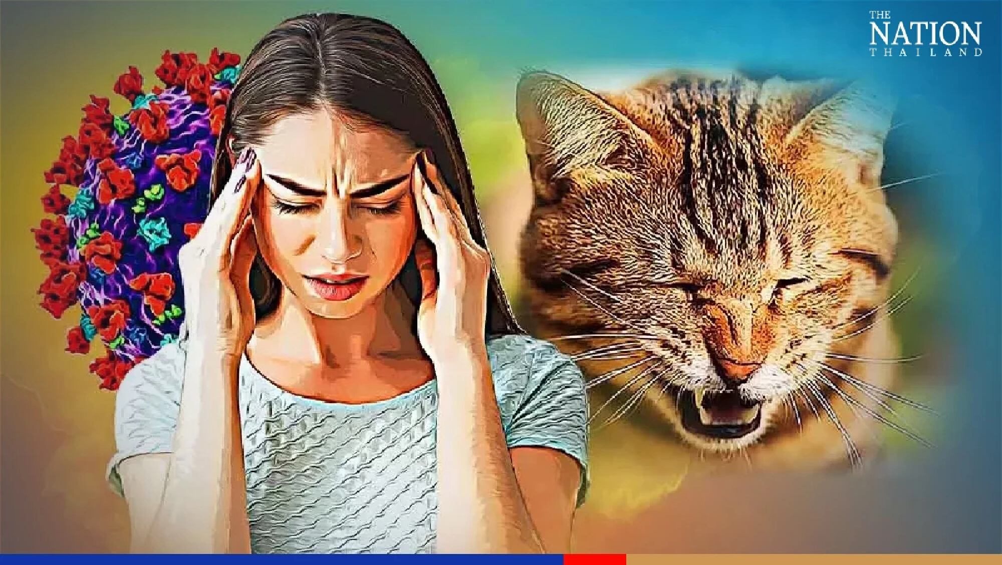Thai report on cat-to-human Covid infection captures global attention