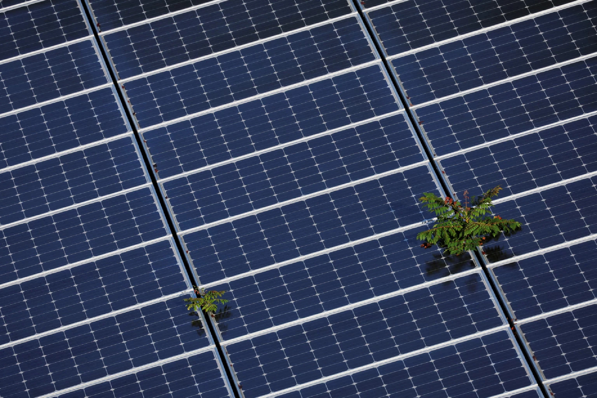 World’s largest solar farm to rise in Philippines