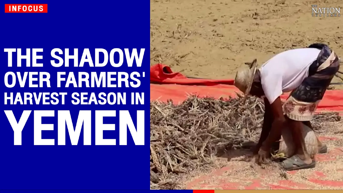 The shadow over farmers' harvest season in Yemen