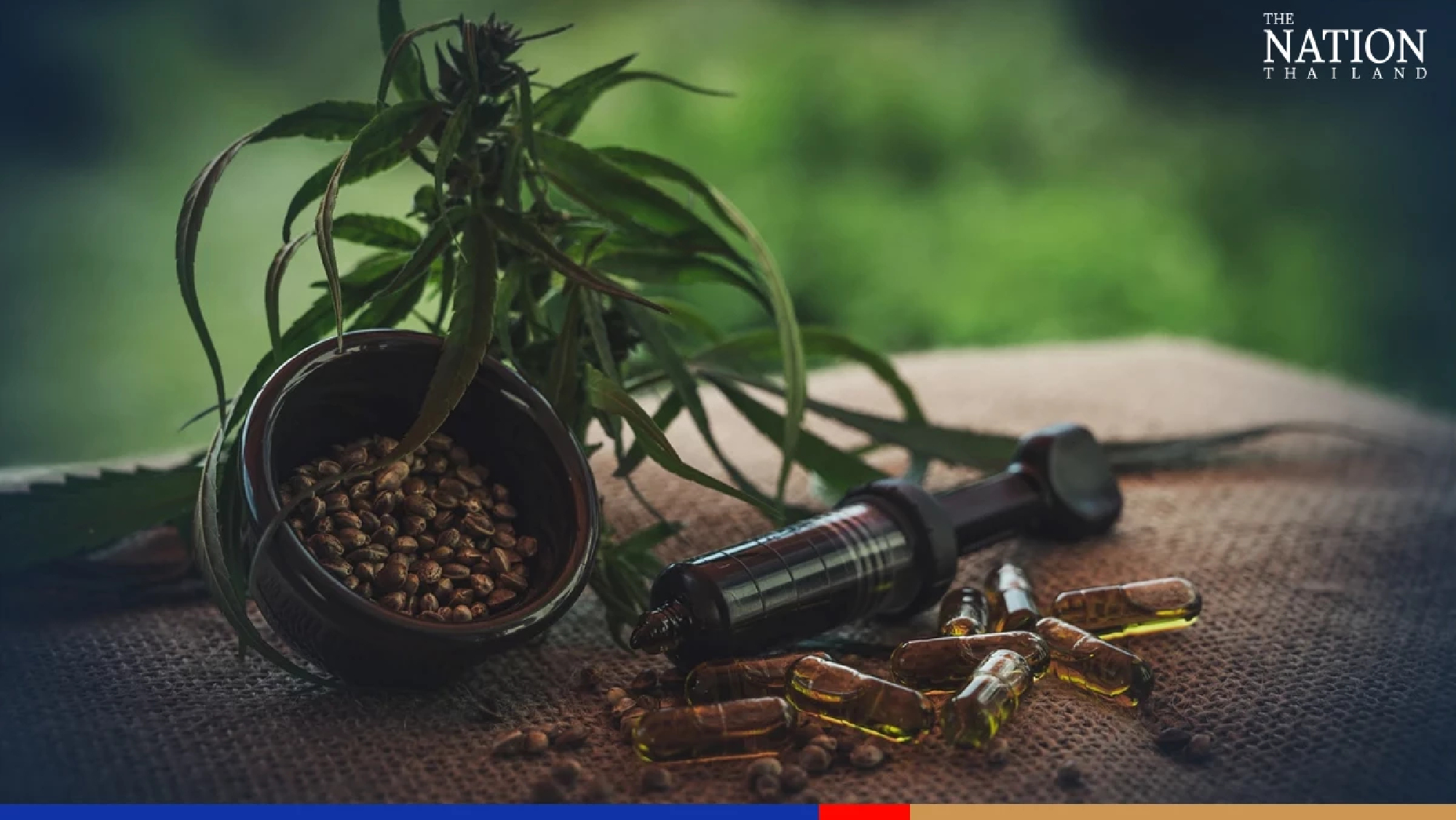 Cannabis can bring blood pressure down too low, warns doctor