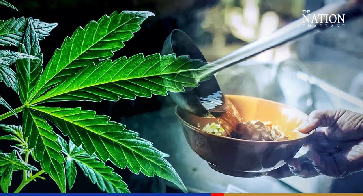Health dept issues guidelines on use of cannabis as food additive Health dept issues guidelines on use of cannabis as food additive