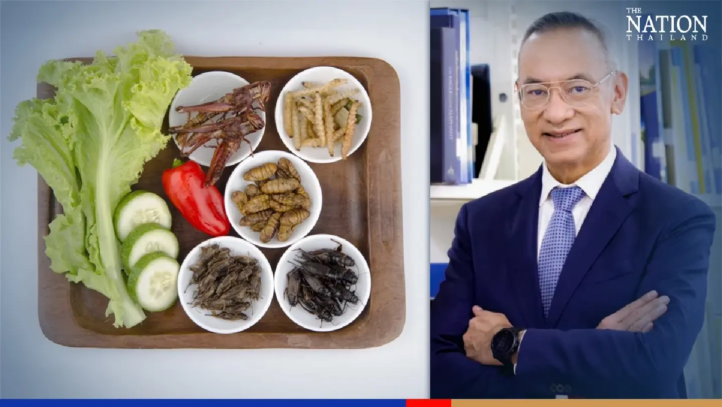 DITP seeks export boost of edible insects to US amid rising market buzz DITP seeks export boost of edible insects to US amid rising market buzz